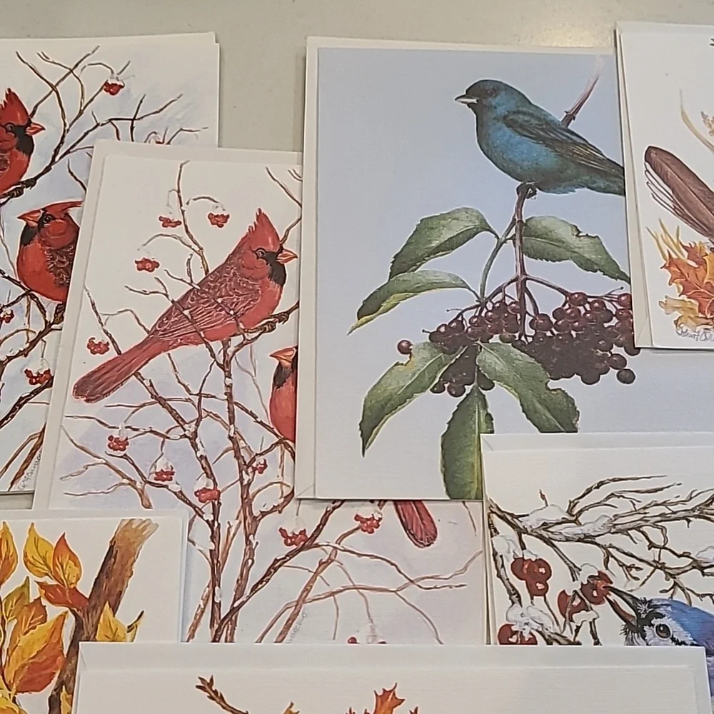 bird nature greeting cards new original